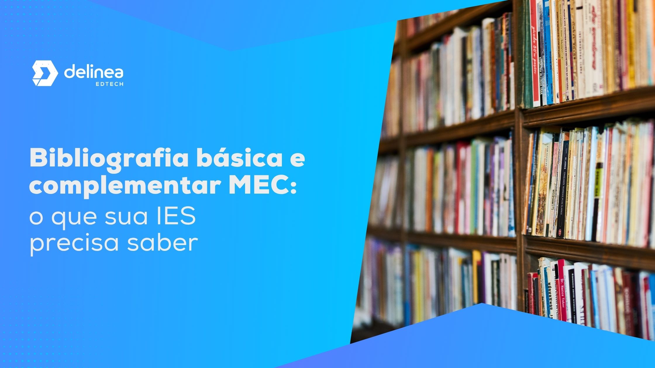 Bibliografia básica e complementar MEC: guia